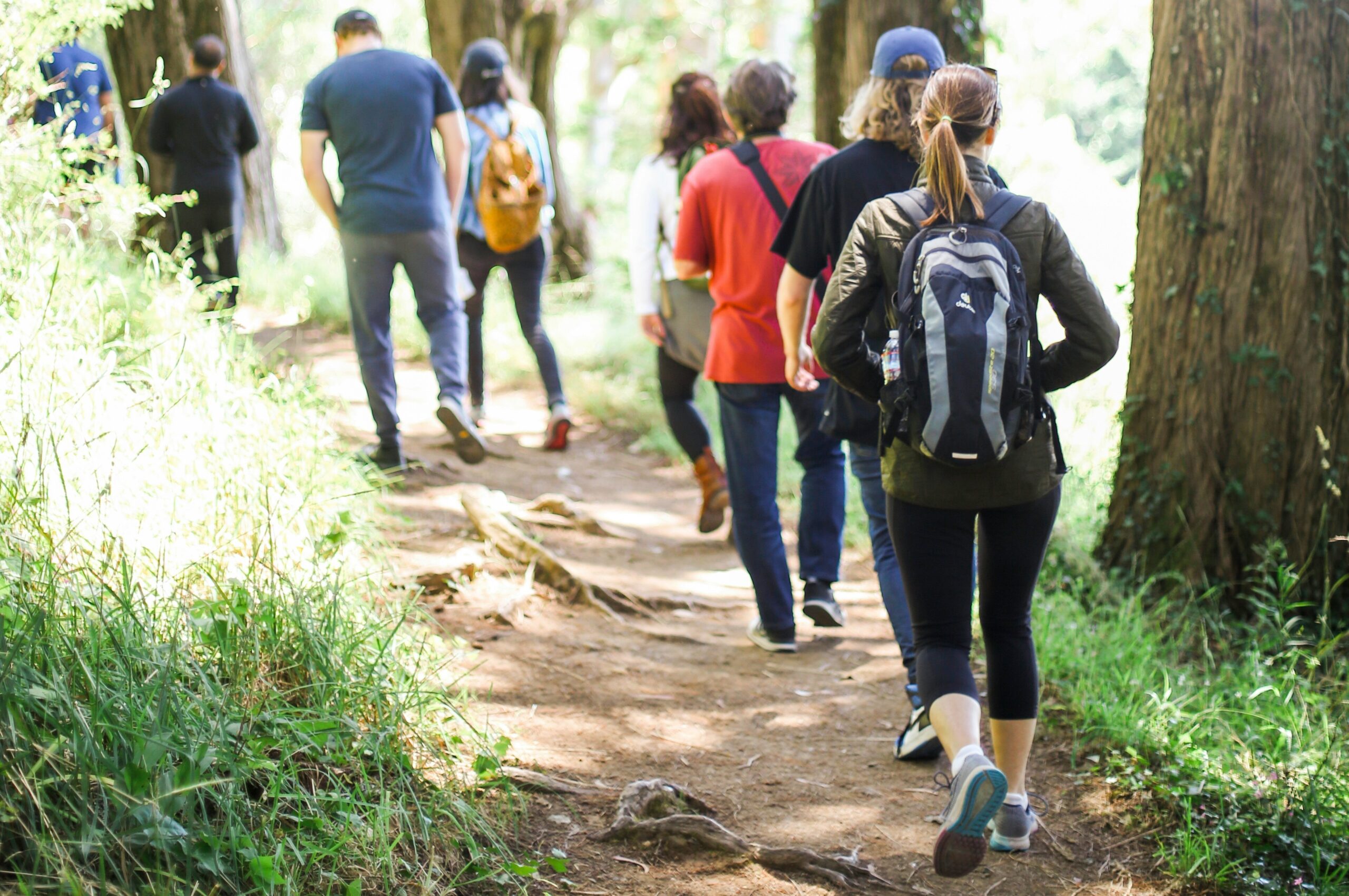 Listicles kitera-dent-jWv1ILisuSc-unsplash Group of seven people walking through a foresr